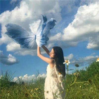 命中注定那头鹅